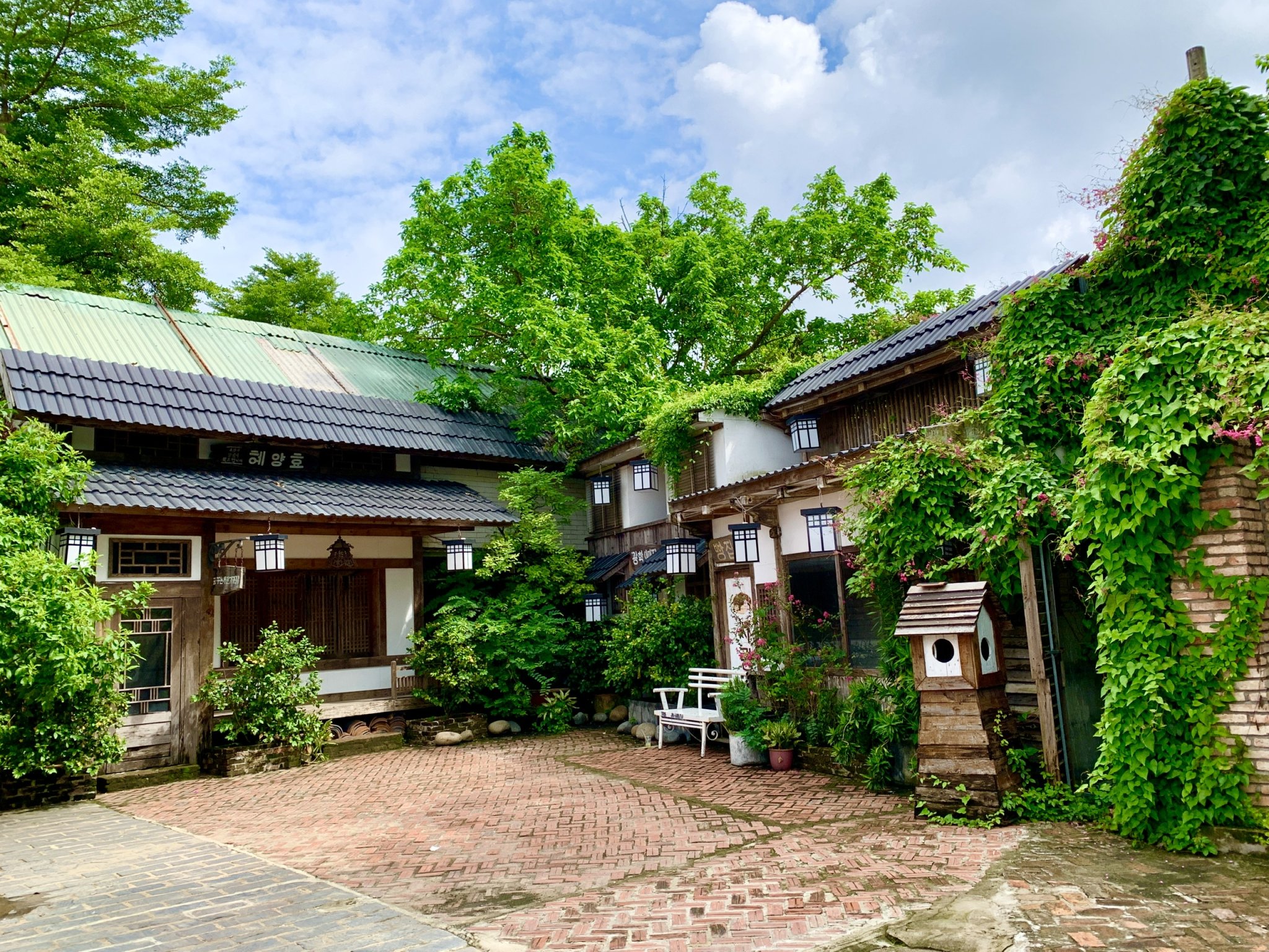 z4951463685970_3fbe3de732f8d3135a1621b0431b0695